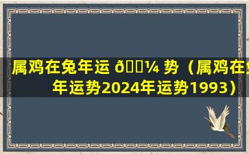 属鸡在兔年运 🐼 势（属鸡在兔年运势2024年运势1993）